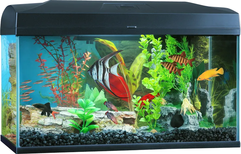 Blue Planet - Classic Aquarium (50L)